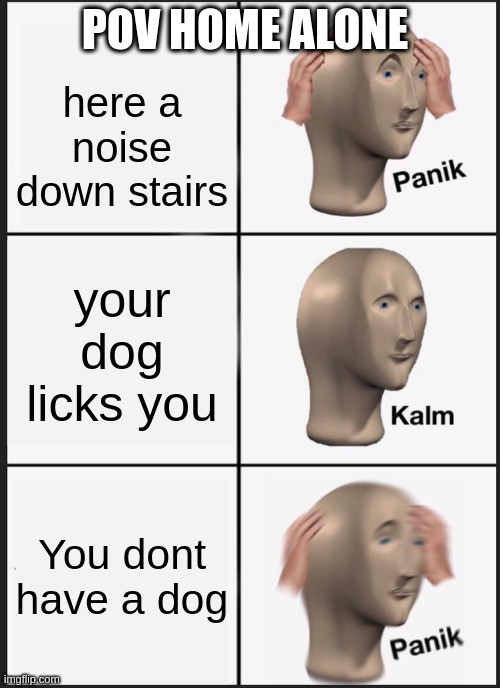 home alone | POV HOME ALONE; here a noise down stairs; your dog licks you; You dont have a dog | image tagged in memes,panik kalm panik | made w/ Imgflip meme maker