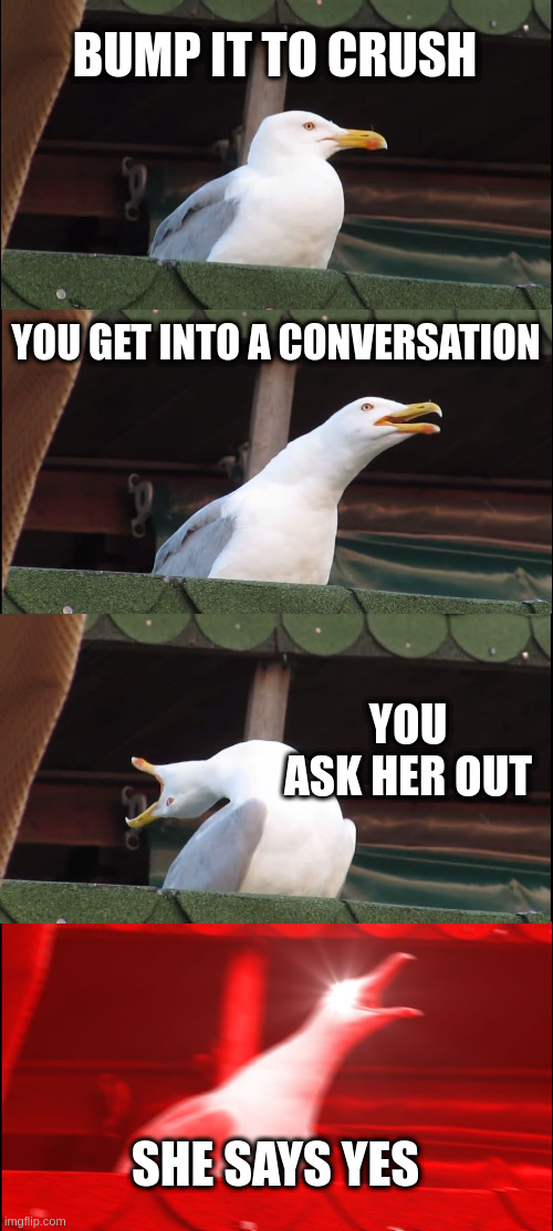 crush | BUMP IT TO CRUSH; YOU GET INTO A CONVERSATION; YOU ASK HER OUT; SHE SAYS YES | image tagged in memes,inhaling seagull,love | made w/ Imgflip meme maker