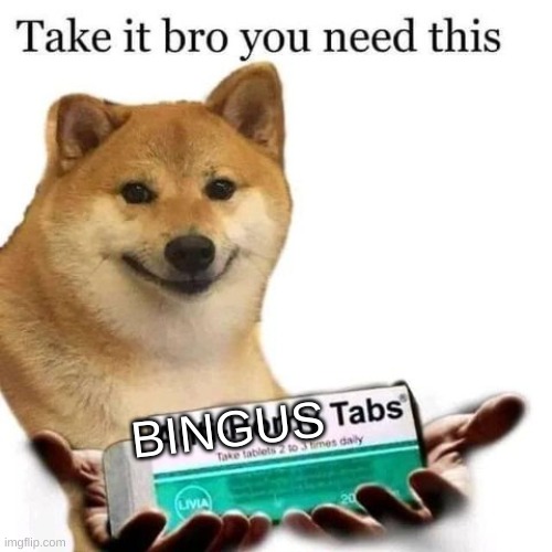 Take it bro you need this | BINGUS | image tagged in take it bro you need this | made w/ Imgflip meme maker