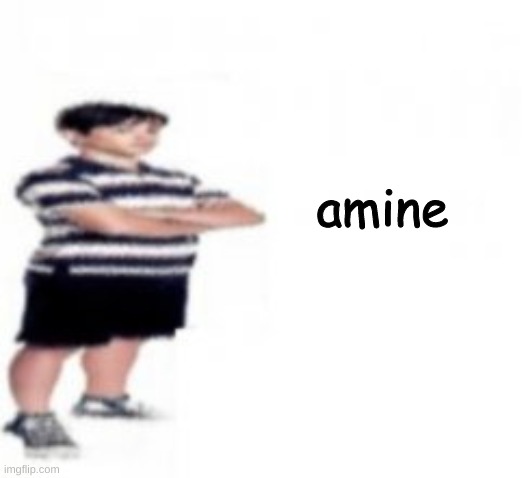 amine | made w/ Imgflip meme maker
