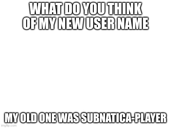 Comment what you think |  WHAT DO YOU THINK OF MY NEW USERNAME; MY OLD ONE WAS SUBNATICA-PLAYER | image tagged in fun | made w/ Imgflip meme maker