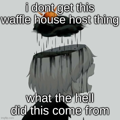 Avogado6 depression | i dont get this waffle house host thing; what the hell did this come from | image tagged in avogado6 depression | made w/ Imgflip meme maker