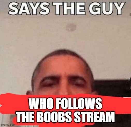Says the one with a anime pfp | WHO FOLLOWS THE BOOBS STREAM | image tagged in says the one with a anime pfp | made w/ Imgflip meme maker