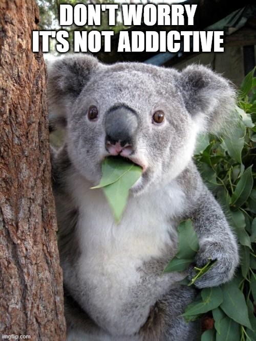 mhmm | DON'T WORRY IT'S NOT ADDICTIVE | image tagged in memes,surprised koala | made w/ Imgflip meme maker