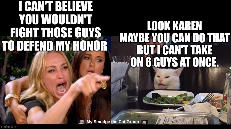 I CAN'T BELIEVE YOU WOULDN'T FIGHT THOSE GUYS TO DEFEND MY HONOR; LOOK KAREN MAYBE YOU CAN DO THAT BUT I CAN'T TAKE ON 6 GUYS AT ONCE. | image tagged in smudge the cat | made w/ Imgflip meme maker