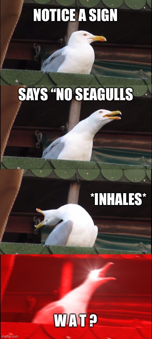 Inhaling Seagull | NOTICE A SIGN; SAYS “NO SEAGULLS; *INHALES*; W A T ? | image tagged in memes,inhaling seagull | made w/ Imgflip meme maker
