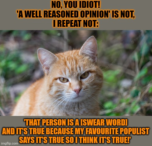 This #lolcat wonders why right wing populists won't teach their followers what 'an opinion' really is | NO, YOU IDIOT!
'A WELL REASONED OPINION' IS NOT,
I REPEAT NOT:; 'THAT PERSON IS A [SWEAR WORD] AND IT'S TRUE BECAUSE MY FAVOURITE POPULIST SAYS IT'S TRUE SO I THINK IT'S TRUE!' | image tagged in opinion,swearing,right wing,populism,debate,lolcat | made w/ Imgflip meme maker