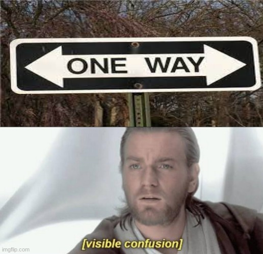 more like two way.. :/ | image tagged in visible confusion,funny,memes,you-had-one-job,one way,two way | made w/ Imgflip meme maker