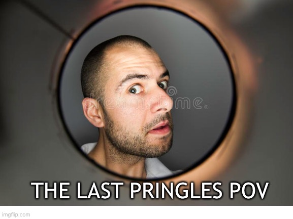 True Though | THE LAST PRINGLES POV | image tagged in pringles | made w/ Imgflip meme maker