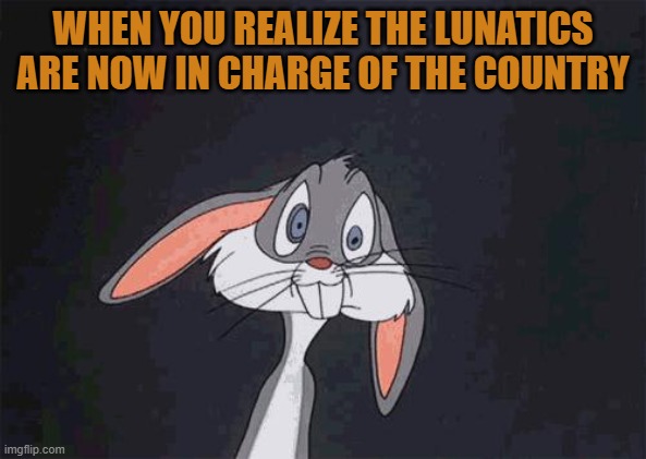 bugs bunny crazy face | WHEN YOU REALIZE THE LUNATICS ARE NOW IN CHARGE OF THE COUNTRY | image tagged in bugs bunny crazy face | made w/ Imgflip meme maker
