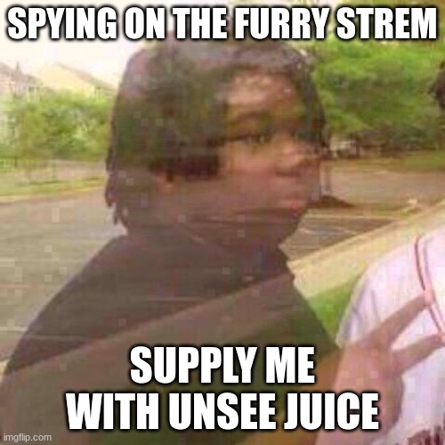 I will go now | SPYING ON THE FURRY STREM; SUPPLY ME WITH UNSEE JUICE | image tagged in guy fades away | made w/ Imgflip meme maker