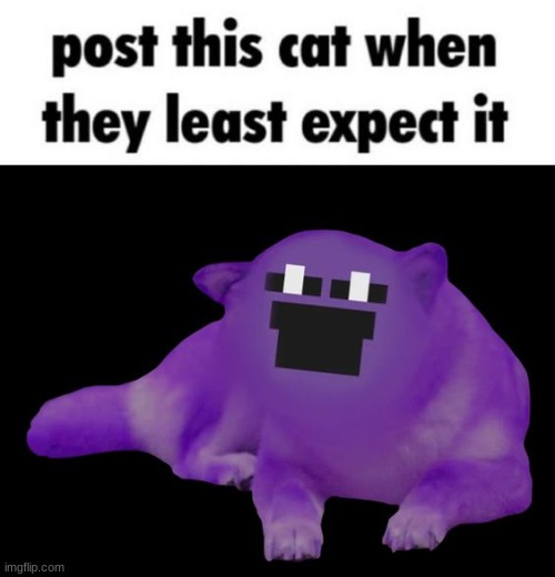 william catfton | made w/ Imgflip meme maker