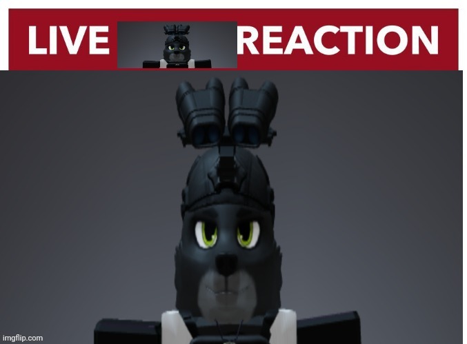 image tagged in live travis reaction | made w/ Imgflip meme maker