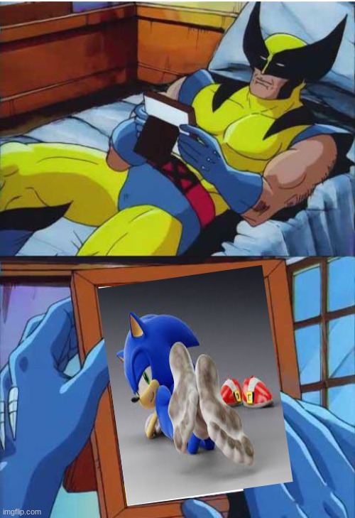 the crossover nobody wanted | image tagged in wolverine remember,sonic the hedgehog,weird stuff | made w/ Imgflip meme maker