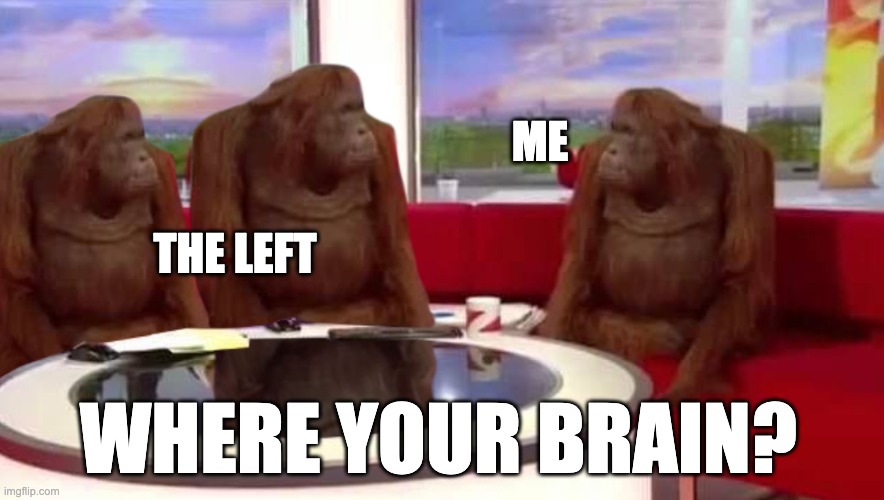 where monkey | ME THE LEFT WHERE YOUR BRAIN? | image tagged in where monkey | made w/ Imgflip meme maker