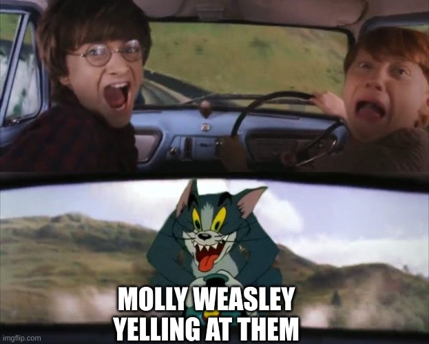 Tom chasing Harry and Ron Weasly | MOLLY WEASLEY YELLING AT THEM | image tagged in tom chasing harry and ron weasly | made w/ Imgflip meme maker