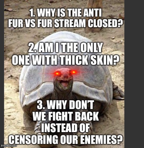 we gotta fight back now, this is not good | image tagged in anti furry | made w/ Imgflip meme maker