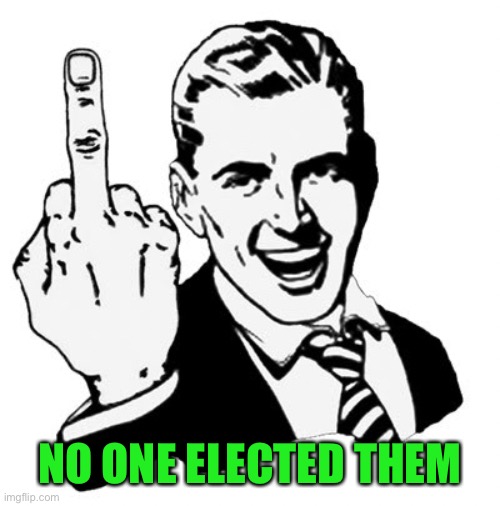 1950s Middle Finger Meme | NO ONE ELECTED THEM | image tagged in memes,1950s middle finger | made w/ Imgflip meme maker