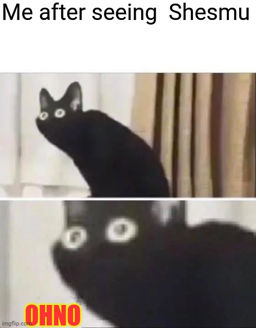 Insert Scary Name | Me after seeing  Shesmu; OHNO | image tagged in oh no black cat | made w/ Imgflip meme maker