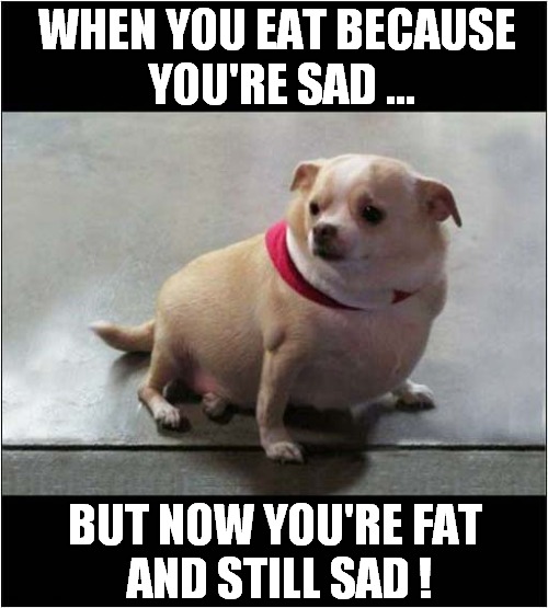 Food Is Not The Answer ! | WHEN YOU EAT BECAUSE
 YOU'RE SAD ... BUT NOW YOU'RE FAT 
AND STILL SAD ! | image tagged in dogs,eating,fat,sad | made w/ Imgflip meme maker