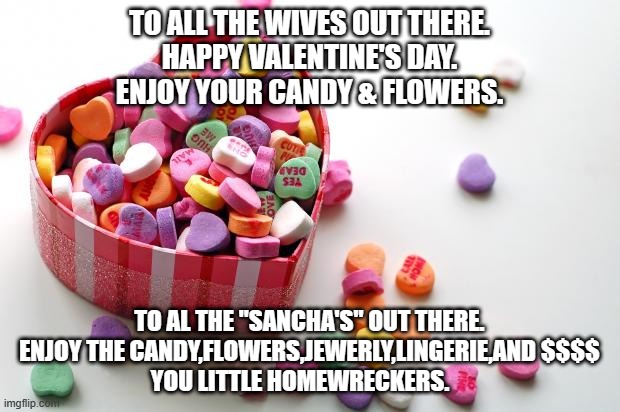 valentine's day | TO ALL THE WIVES OUT THERE.
HAPPY VALENTINE'S DAY.
ENJOY YOUR CANDY & FLOWERS. TO AL THE "SANCHA'S" OUT THERE.
ENJOY THE CANDY,FLOWERS,JEWERLY,LINGERIE,AND $$$$
YOU LITTLE HOMEWRECKERS. | image tagged in valentine conversation hearts | made w/ Imgflip meme maker