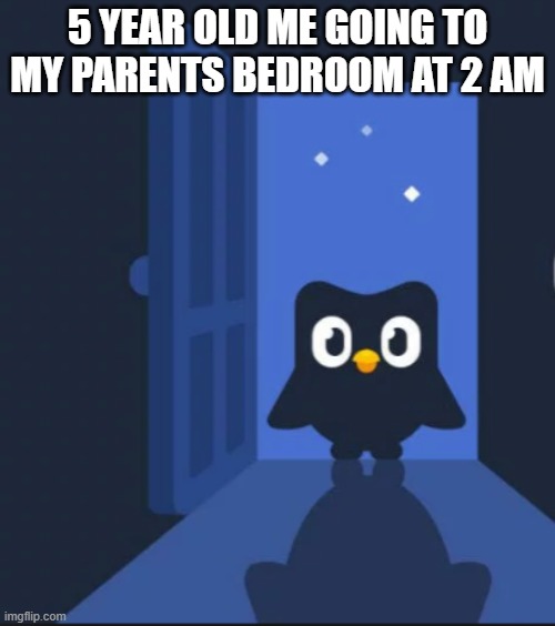 Duolingo bird | 5 YEAR OLD ME GOING TO MY PARENTS BEDROOM AT 2 AM | image tagged in duolingo bird | made w/ Imgflip meme maker
