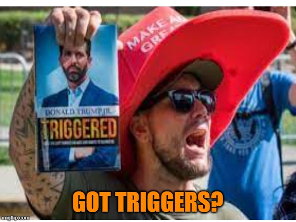 GOT TRIGGERS? | made w/ Imgflip meme maker