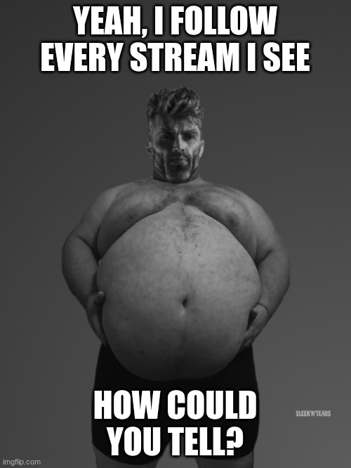 Fat Giga Chad | YEAH, I FOLLOW EVERY STREAM I SEE HOW COULD YOU TELL? | image tagged in fat giga chad | made w/ Imgflip meme maker