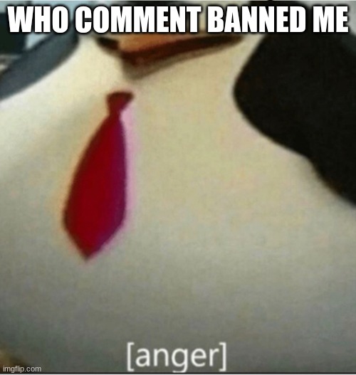 [anger] | WHO COMMENT BANNED ME | image tagged in anger | made w/ Imgflip meme maker