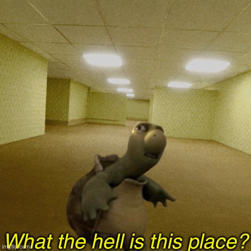 backrooms | What the hell is this place? | image tagged in backrooms | made w/ Imgflip meme maker