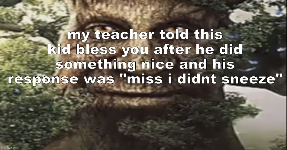 goofy ass | my teacher told this kid bless you after he did something nice and his response was "miss i didnt sneeze" | image tagged in wise mystical tree | made w/ Imgflip meme maker