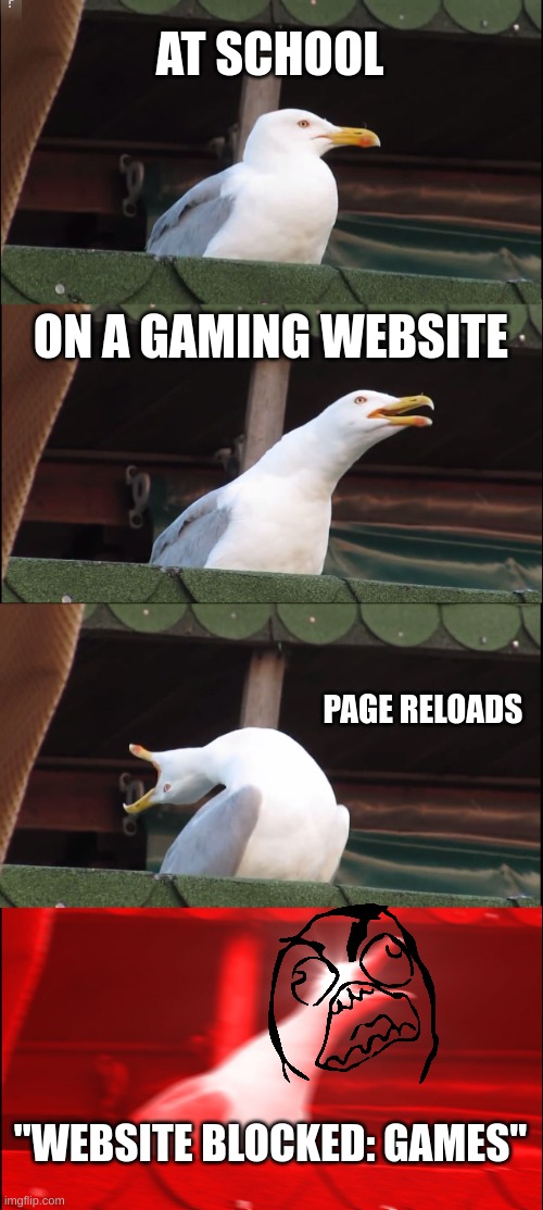 Has happened to me before it sucks | AT SCHOOL; ON A GAMING WEBSITE; PAGE RELOADS; "WEBSITE BLOCKED: GAMES" | image tagged in memes,inhaling seagull | made w/ Imgflip meme maker