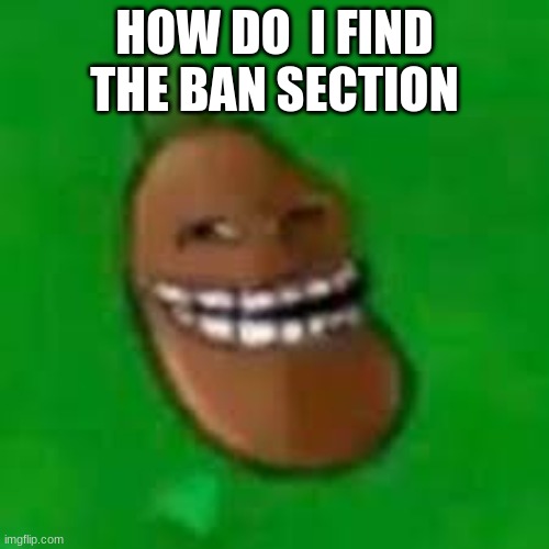 troll coffee bean | HOW DO  I FIND THE BAN SECTION | image tagged in troll coffee bean | made w/ Imgflip meme maker