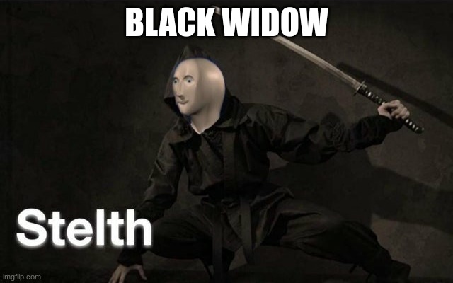 Stelth | BLACK WIDOW | image tagged in stelth | made w/ Imgflip meme maker