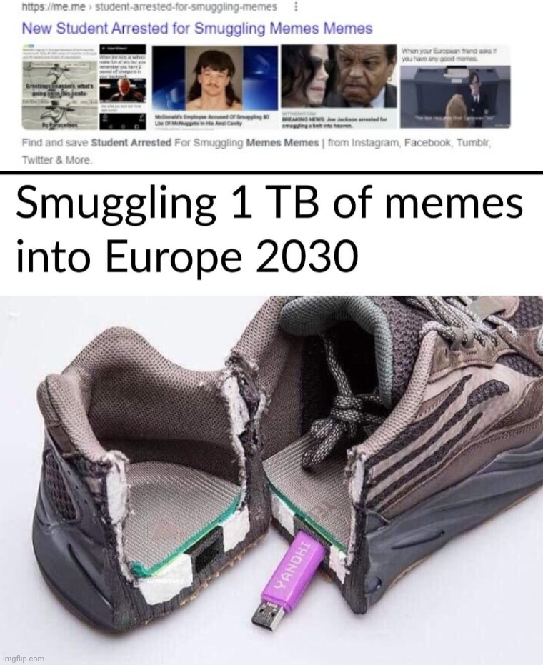 Smuggling in a meme that used to be a comment on a page deleted by the image owner. | image tagged in memes,smuggling,lol so funny | made w/ Imgflip meme maker