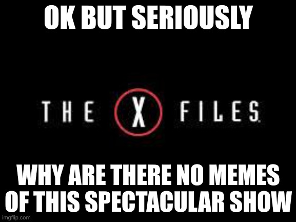 Is it just not that memeable? | OK BUT SERIOUSLY; WHY ARE THERE NO MEMES OF THIS SPECTACULAR SHOW | image tagged in x-files | made w/ Imgflip meme maker