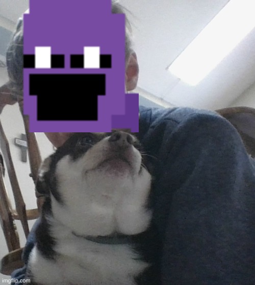 Actually legit face reveal (I'm the Purple Guy!) | image tagged in face,purple guy | made w/ Imgflip meme maker