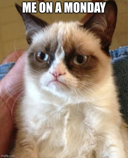 meme | ME ON A MONDAY | image tagged in memes,grumpy cat | made w/ Imgflip meme maker