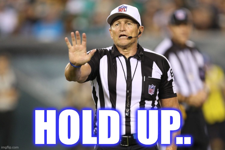 Ed Hochuli Fallacy Referee | HOLD  UP.. | image tagged in ed hochuli fallacy referee | made w/ Imgflip meme maker