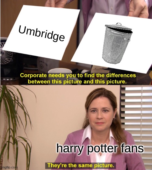 They're The Same Picture Meme | Umbridge; harry potter fans | image tagged in memes,they're the same picture | made w/ Imgflip meme maker