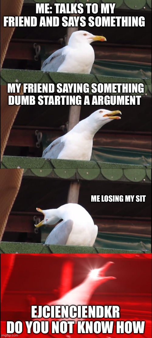 Inhaling Seagull | ME: TALKS TO MY FRIEND AND SAYS SOMETHING; MY FRIEND SAYING SOMETHING DUMB STARTING A ARGUMENT; ME LOSING MY SIT; EJCIENCIENDKR DO YOU NOT KNOW HOW | image tagged in memes,inhaling seagull | made w/ Imgflip meme maker