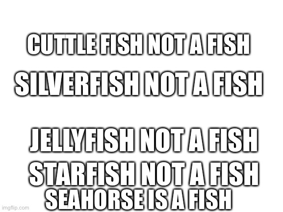English makes no sense | CUTTLE FISH NOT A FISH; SILVERFISH NOT A FISH; JELLYFISH NOT A FISH; STARFISH NOT A FISH; SEAHORSE IS A FISH | image tagged in blank white template | made w/ Imgflip meme maker