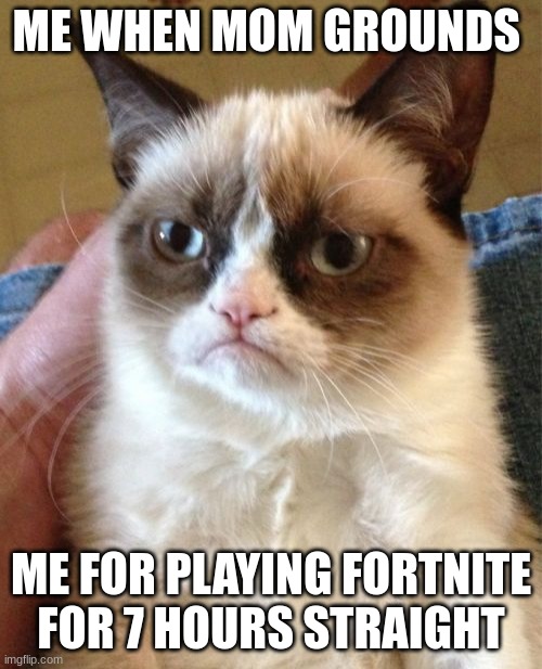 Grumpy Cat | ME WHEN MOM GROUNDS; ME FOR PLAYING FORTNITE FOR 7 HOURS STRAIGHT | image tagged in memes,grumpy cat | made w/ Imgflip meme maker