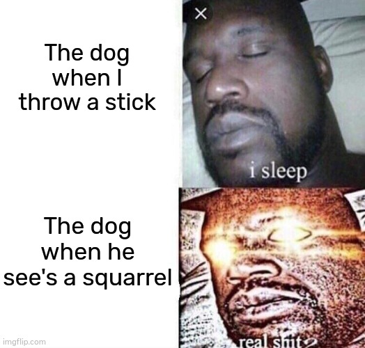 Lazy dog | The dog when I throw a stick; The dog when he see's a squarrel | image tagged in i sleep real shit | made w/ Imgflip meme maker
