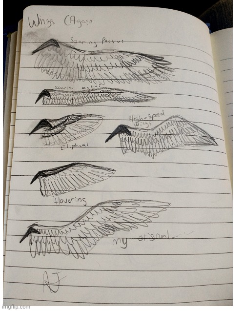 Wing study that i did. You guys can use it if you want. Also no those aren't Nike symbols lol | image tagged in blank white template | made w/ Imgflip meme maker