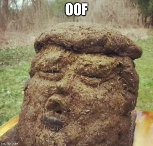 Trump oof | OOF | image tagged in trump oof | made w/ Imgflip meme maker