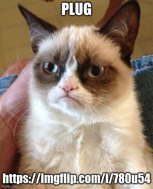 Grumpy Cat | PLUG; https://imgflip.com/i/780u54 | image tagged in memes,grumpy cat | made w/ Imgflip meme maker