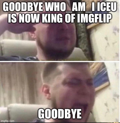 Comment you will be missed | GOODBYE WHO_AM_I ICEU IS NOW KING OF IMGFLIP; GOODBYE | image tagged in crying salute,respect,who_am_i,new king of imgflip,iceu | made w/ Imgflip meme maker