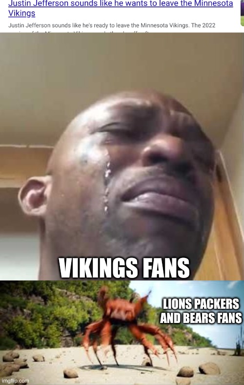 lmao | VIKINGS FANS; LIONS PACKERS AND BEARS FANS | image tagged in crying black guy,crab rave | made w/ Imgflip meme maker