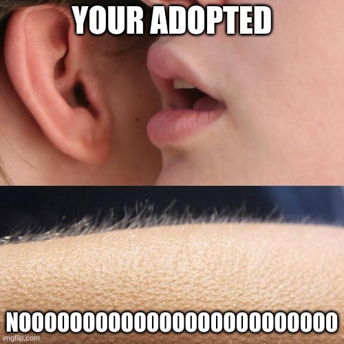 Whisper and Goosebumps | YOUR ADOPTED; NOOOOOOOOOOOOOOOOOOOOOOOOO | image tagged in whisper and goosebumps | made w/ Imgflip meme maker